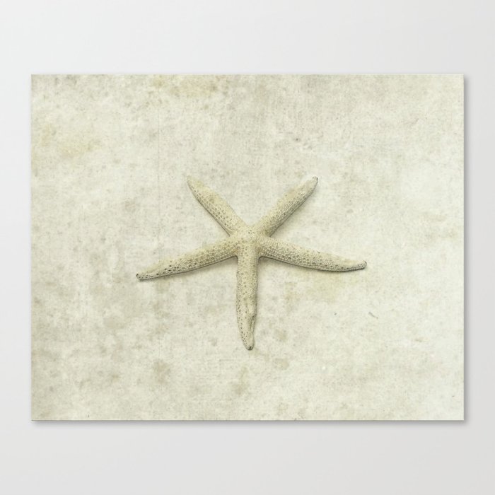 Starfish Canvas Print