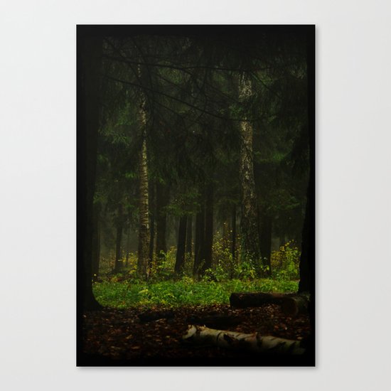 The grass was greener Canvas Print