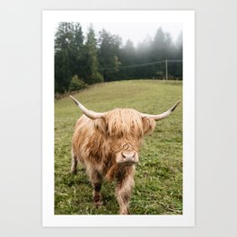 Majestic Highland Cow Art Print