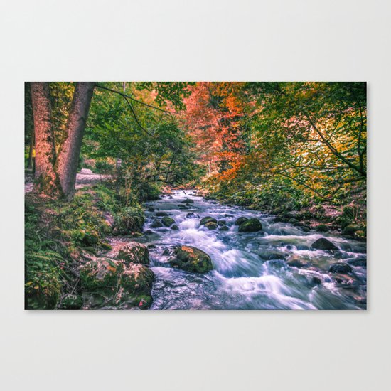 Mountain river Canvas Print