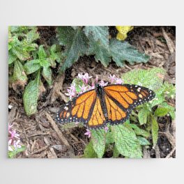Monarch Butterfly on Pink Flower Jigsaw Puzzle