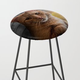 You looking at me, says the Cat Bar Stool