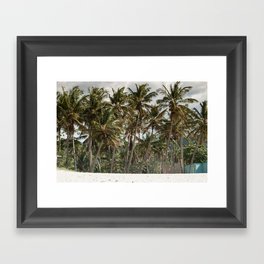 Palmeras tropicalientes Framed Art Print