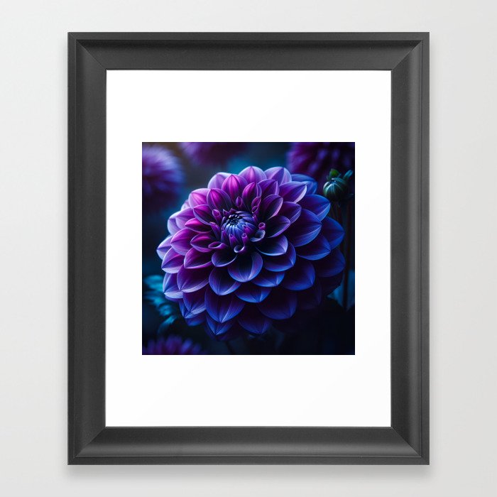 Purple Dahlia Framed Art Print