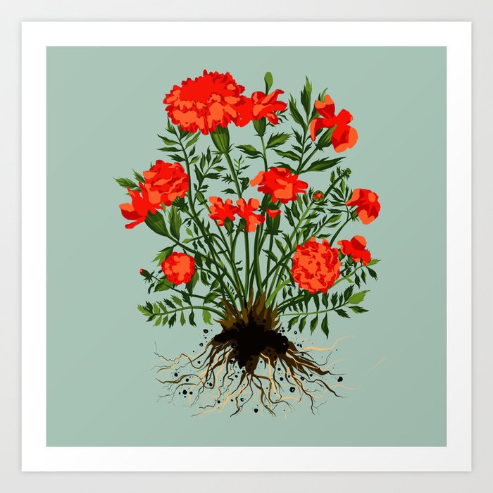 Mexican Marigold Plant Painting in Sage Green Art Print