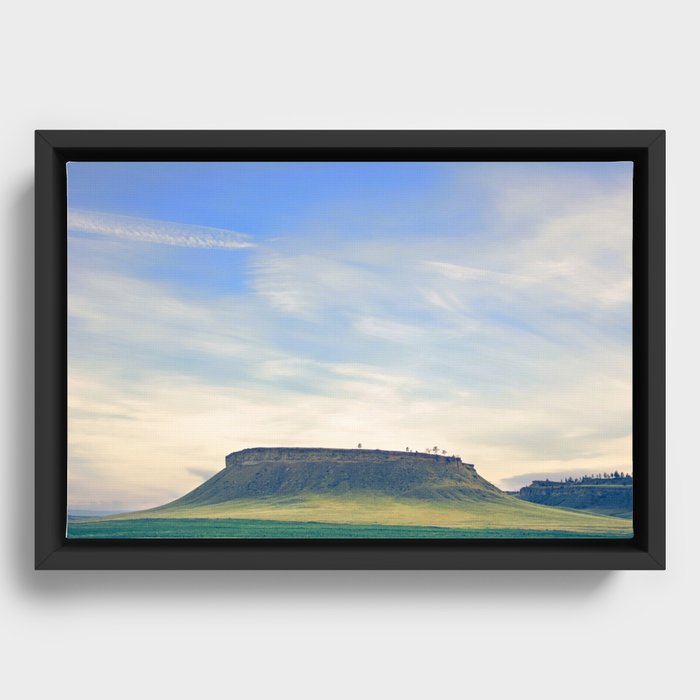 Framed Canvas