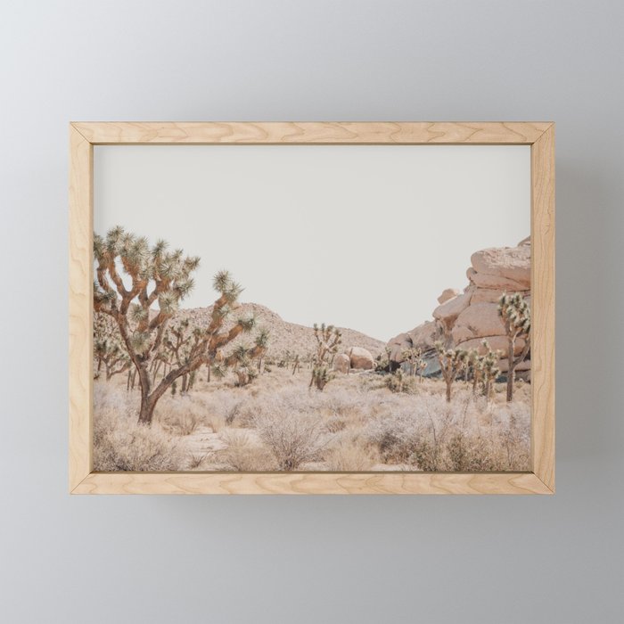 Pale Desert #4 - Joshua Tree Cactus, Nature, Landscape Photography Framed Mini Art Print