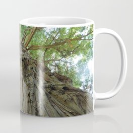 Up (Photograph of Tall Tree)  Mug