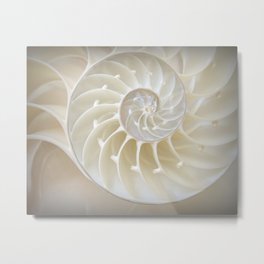 Nautilus Shell Metal Print | Nature, Color, Pattern, Love, Digital, Abstract, Photo 