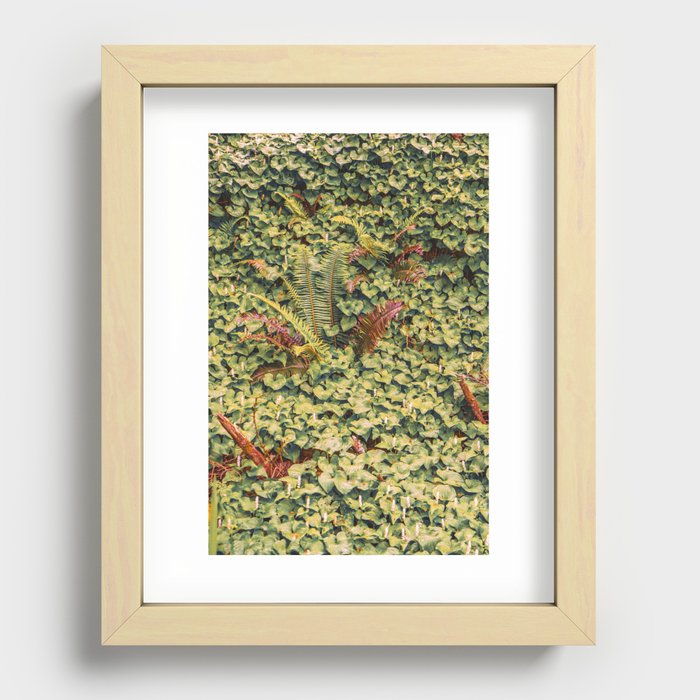Forest Foliage Recessed Framed Print