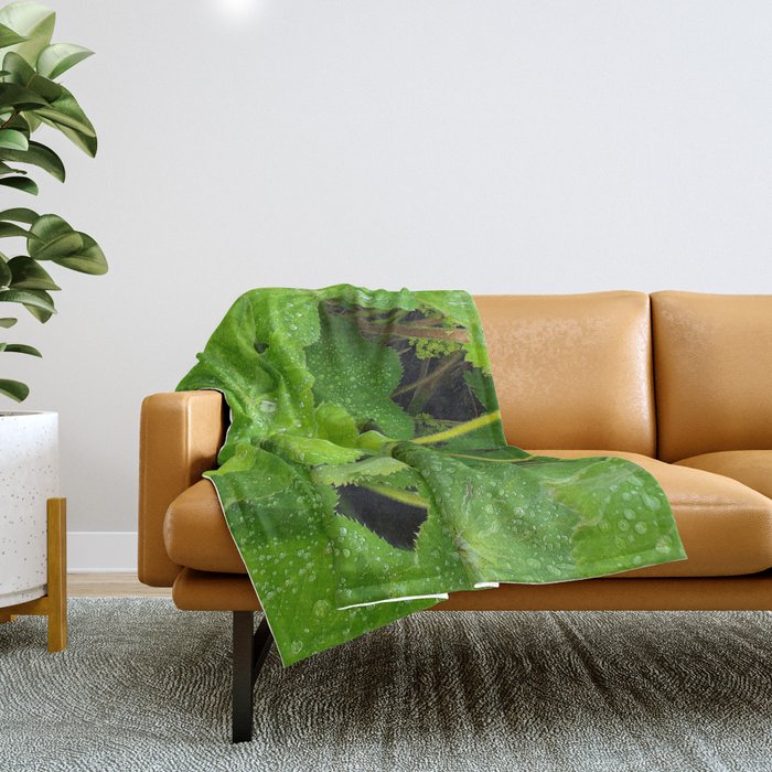Dew Drops On The Green Leaves Throw Blanket