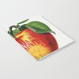 Wolf River Apple Lithograph Notebook
