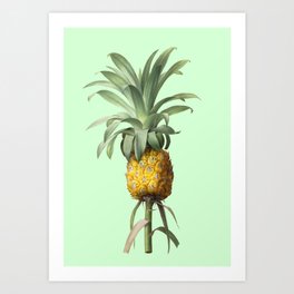 Pineapple and Green Art Print