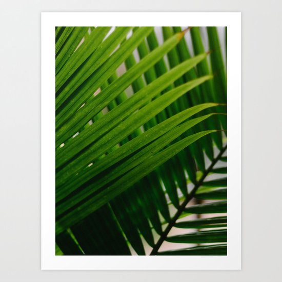 Tropical Lines Art Print