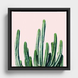 Cactus V6 | Pastel Botanical Exotic Plants | Minimal Scandinavian Nordic Nature Framed Canvas