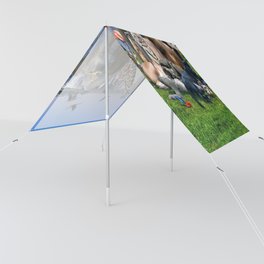 Animal Animals Rainbow Waterfall Group Scene Sun Shade