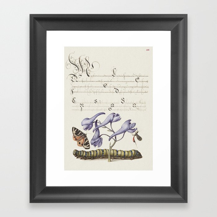Vintage calligraphy art with a caterpillar Framed Art Print