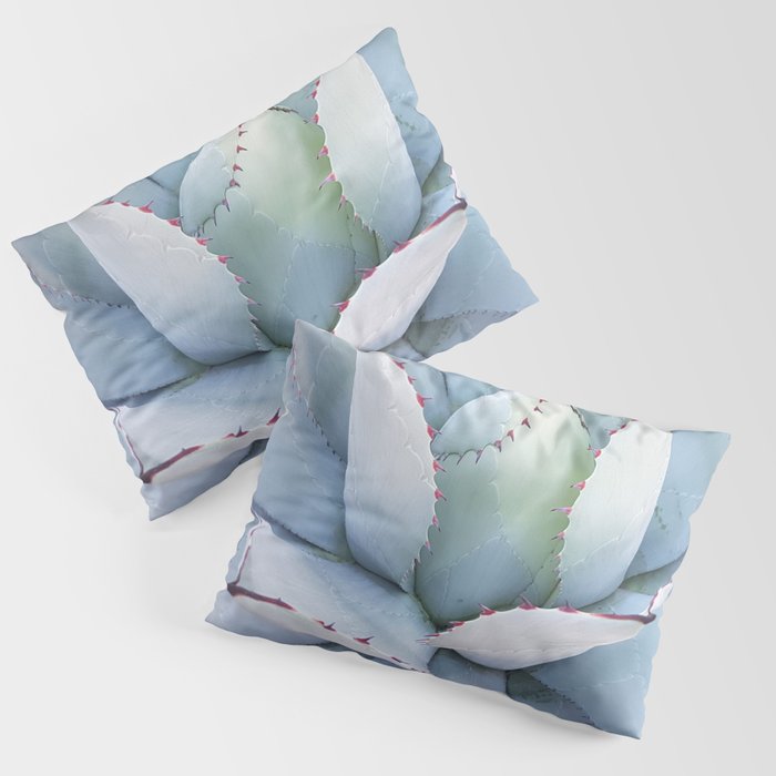 Mexico Photography - The Beautiful Agave Plant Pillow Sham
