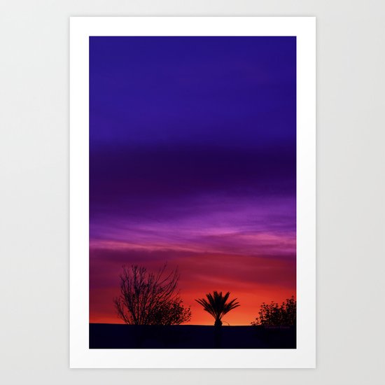 Desert SW Sunset Art Print