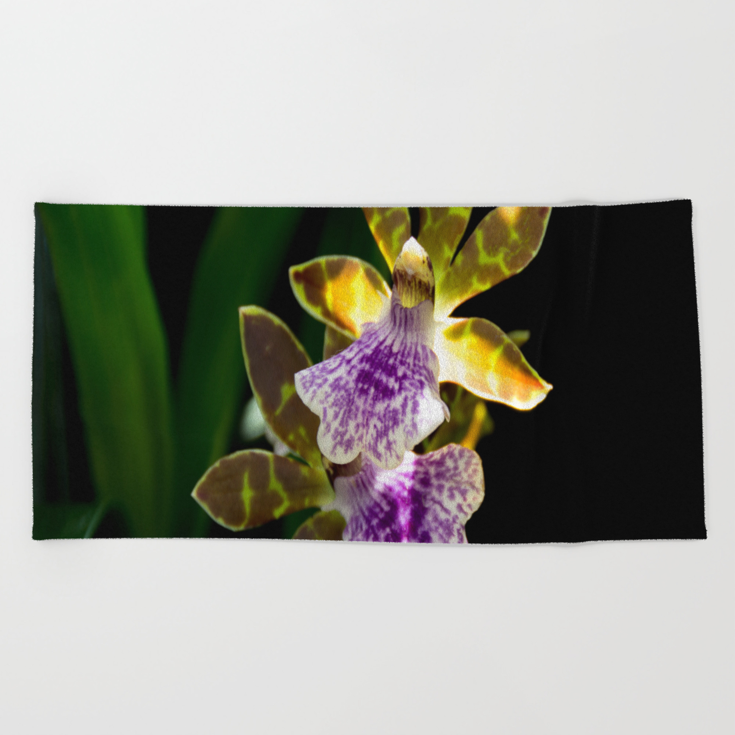 Zygo Blue Blazer Orchid Beach Towel By Jlwphotography Society6