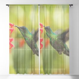 Brazil Photography - A Beautiful Green Humming Bird In Brazil Sheer Curtain