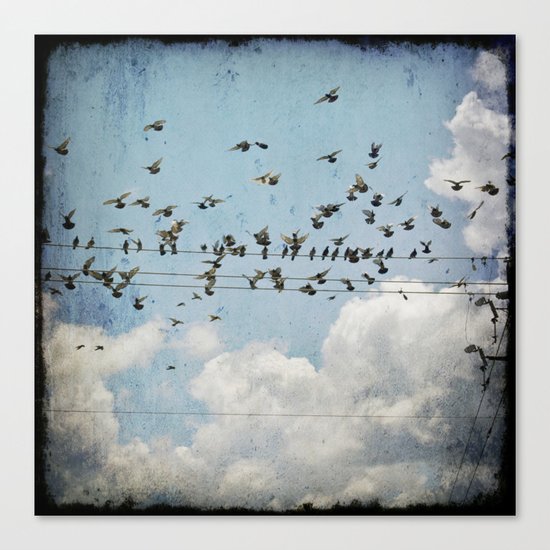 Fly Canvas Print