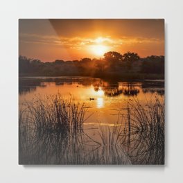 South Africa Photography - Beautiful Sunset Over A Small Lake Metal Print