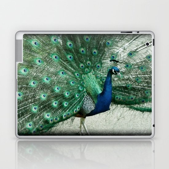 Colorful Coat Laptop & iPad Skin