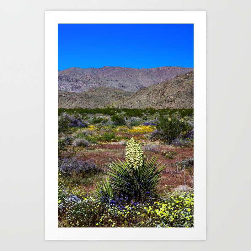 Painted Desert 7465 Joshua Tree National Park Art Print By