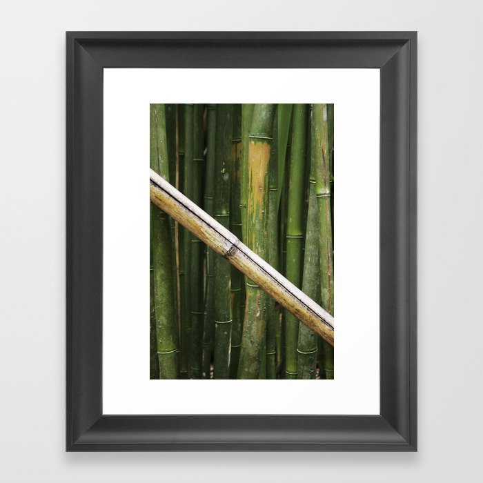 Bamboo Framed Art Print