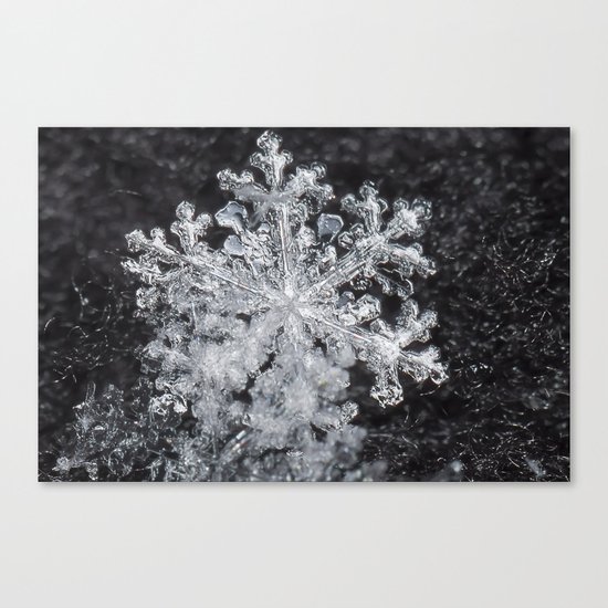 Snowflake Closeup #3 Canvas Print
