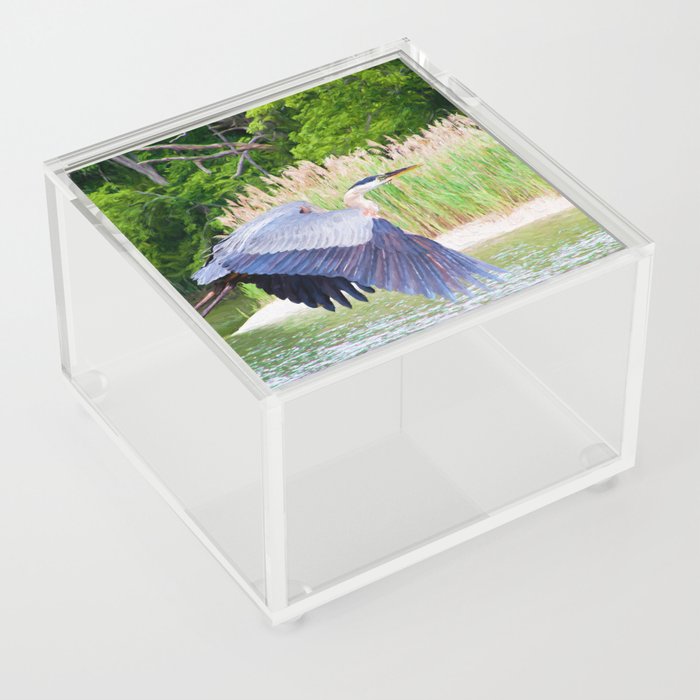 Blue Heron on Pond Acrylic Box