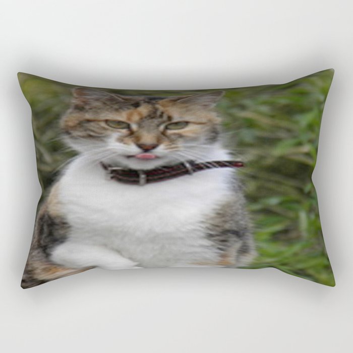 Tilly Rectangular Pillow