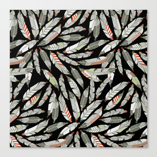 native feathers Canvas Print