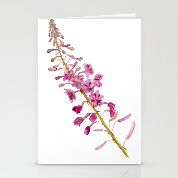 Flowers of fireweed Stationery Cards
