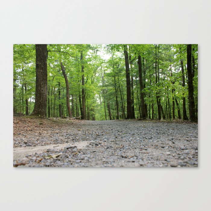 The Road Less Traveled Canvas Print