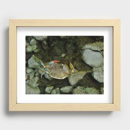 Blue Crab Recessed Framed Print