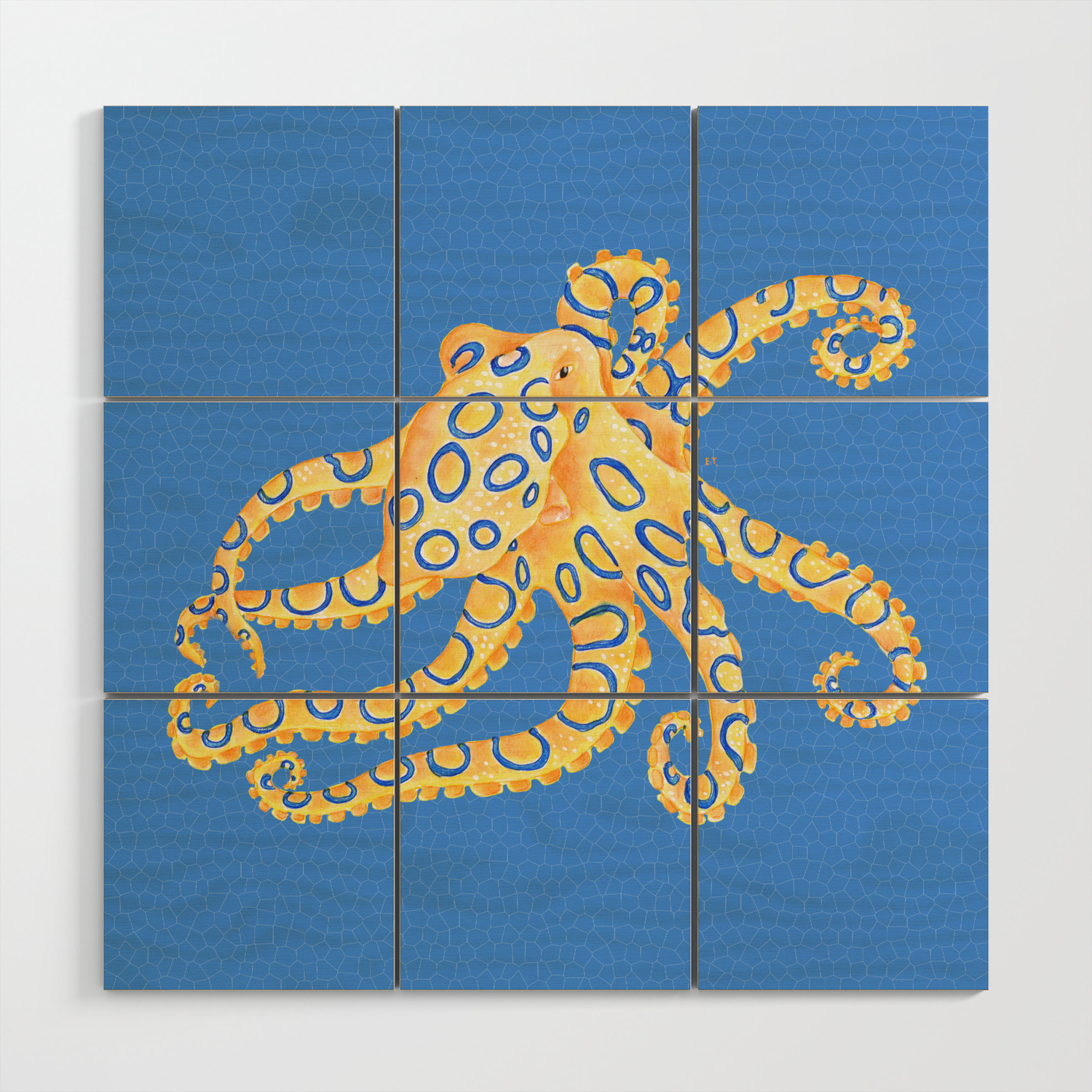 Schuur feit verkrachting Blue Ring Octopus Wood Wall Art by Seven Sirens Studios | Society6