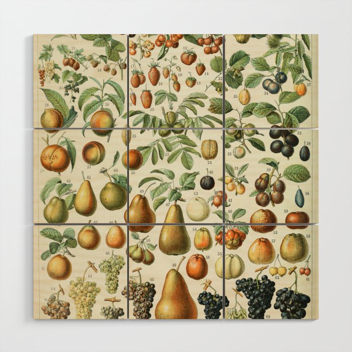 Vintage Fruit Poster 2 - Adolphe Millot Wood Wall Art