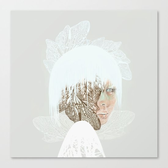 Dragonfly Canvas Print