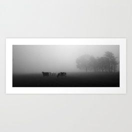 Netherlands, cows in fog Art Print