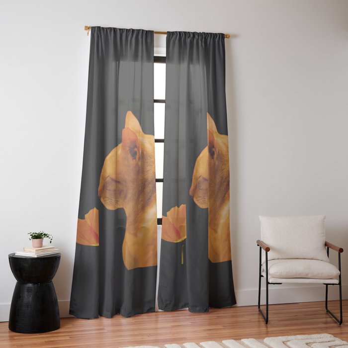 Window Curtain