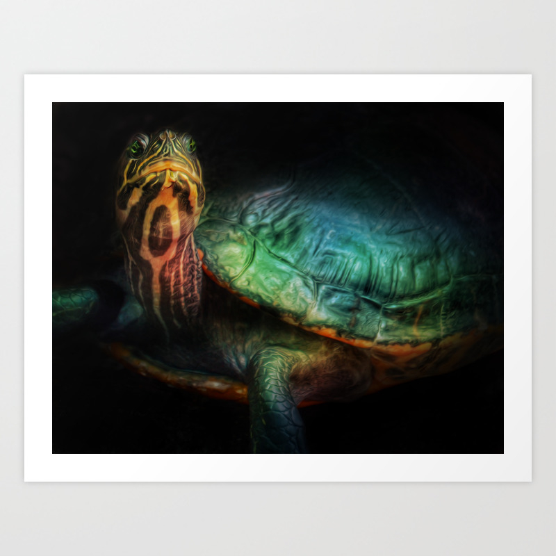 Sea Turtle Oil Painting Illustration Beach Ocean Wildlife Animal