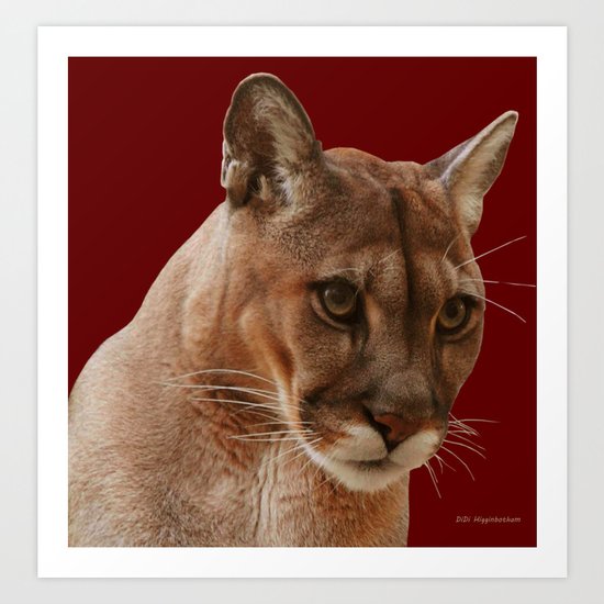 THAT FACE Art Print