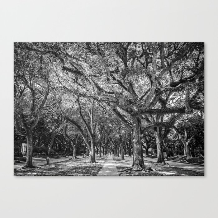 houston under snow Canvas Print