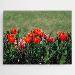 Red Tulips Jigsaw Puzzle