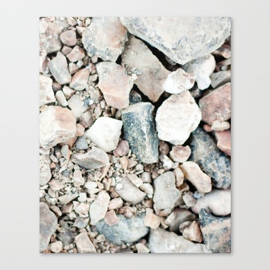 Stone Cold Fox Canvas Print
