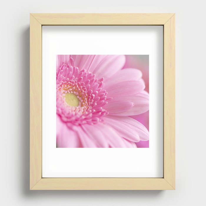 Bright pink gerbera - floral romantic nature photography Recessed Framed Print