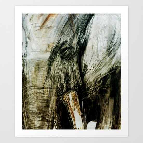 African Elephant Art Print