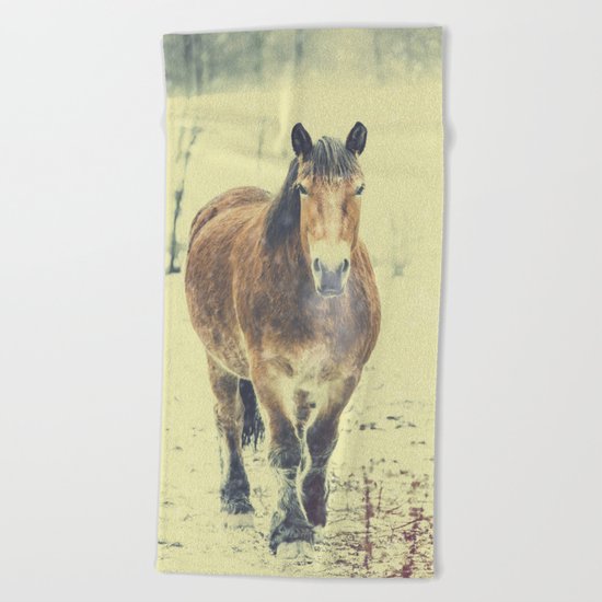 Wandering beauty Beach Towel